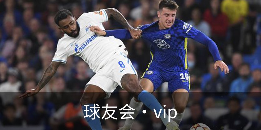 球友会·vip介绍